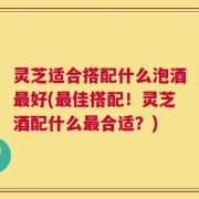 灵芝适合搭配什么泡酒最好(最佳搭配！灵芝酒配什么最合适？)