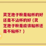 灵芝孢子粉是粘杯的好还是不沾杯的好 (灵芝孢子粉是应该粘杯还是不粘杯？)