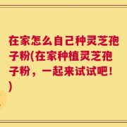 在家怎么自己种灵芝孢子粉(在家种植灵芝孢子粉，一起来试试吧！)