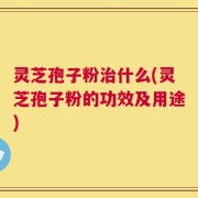 灵芝孢子粉治什么(灵芝孢子粉的功效及用途)