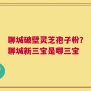 聊城破壁灵芝孢子粉？聊城新三宝是哪三宝