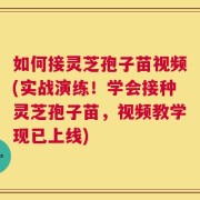 如何接灵芝孢子苗视频(实战演练！学会接种灵芝孢子苗，视频教学现已上线)