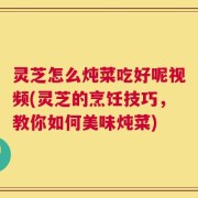 灵芝怎么炖菜吃好呢视频(灵芝的烹饪技巧，教你如何美味炖菜)
