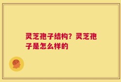 灵芝孢子结构？灵芝孢子是怎么样的