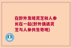 在野外发现灵芝和人参长在一起(野外偶遇灵芝与人参共生奇观)