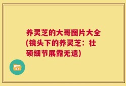 养灵芝的大哥图片大全(镜头下的养灵芝：壮硕细节展露无遗)