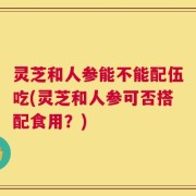 灵芝和人参能不能配伍吃(灵芝和人参可否搭配食用？)