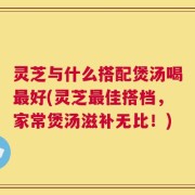 灵芝与什么搭配煲汤喝最好(灵芝最佳搭档，家常煲汤滋补无比！)