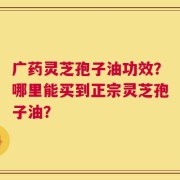 广药灵芝孢子油功效？哪里能买到正宗灵芝孢子油？