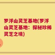 罗浮山灵芝基地(罗浮山灵芝基地：探秘珍稀灵芝之境)