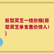 巨型灵芝一枝价格(巨型灵芝单支售价惊人！)