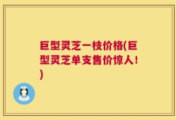 巨型灵芝一枝价格(巨型灵芝单支售价惊人！)