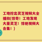 工地挖出灵芝视频大全播放(惊奇！工地发现大量灵芝！惊艳视频大合集！)