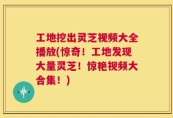 工地挖出灵芝视频大全播放(惊奇！工地发现大量灵芝！惊艳视频大合集！)