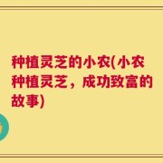 种植灵芝的小农(小农种植灵芝，成功致富的故事)