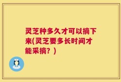 灵芝种多久才可以摘下来(灵芝要多长时间才能采摘？)
