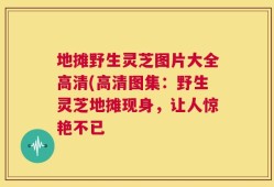 地摊野生灵芝图片大全高清(高清图集：野生灵芝地摊现身，让人惊艳不已