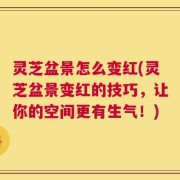 灵芝盆景怎么变红(灵芝盆景变红的技巧，让你的空间更有生气！)