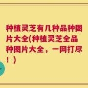 种植灵芝有几种品种图片大全(种植灵芝全品种图片大全，一网打尽！)