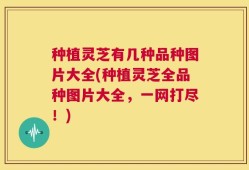 种植灵芝有几种品种图片大全(种植灵芝全品种图片大全，一网打尽！)