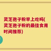 灵芝孢子粉早上吃吗(灵芝孢子粉的最佳食用时间推荐)