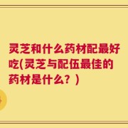 灵芝和什么药材配最好吃(灵芝与配伍最佳的药材是什么？)