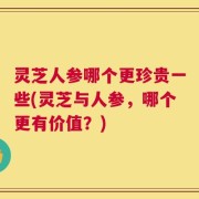 灵芝人参哪个更珍贵一些(灵芝与人参，哪个更有价值？)