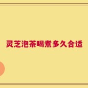 灵芝泡茶喝煮多久合适