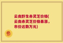 云南野生赤灵芝价格(云南赤灵芝价格暴涨，市价达数万元)