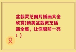 盆栽灵芝图片插画大全欣赏(精美盆栽灵芝插画全集，让你眼前一亮！)