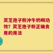 灵芝孢子粉冲牛奶喝功效？灵芝孢子粉正确食用的用法