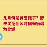几月份是灵芝孢子？野生灵芝什么时候采摘最为合适