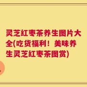 灵芝红枣茶养生图片大全(吃货福利！美味养生灵芝红枣茶图赏)