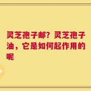 灵芝孢子邮？灵芝孢子油，它是如何起作用的呢