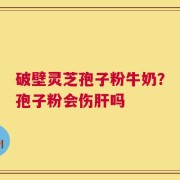 破壁灵芝孢子粉牛奶？孢子粉会伤肝吗