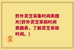 野外灵芝采集时间表图片(野外灵芝采摘时间表图表，了解灵芝采摘时间。)