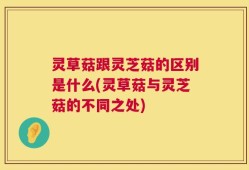 灵草菇跟灵芝菇的区别是什么(灵草菇与灵芝菇的不同之处)