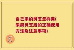 自己采的灵芝怎样用(采摘灵芝后的正确使用方法及注意事项)