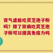 肾气虚能吃灵芝孢子粉吗？得了肾病吃灵芝孢子粉可以提高免疫力吗