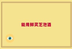 能用鲜灵芝泡酒