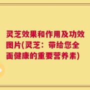 灵芝效果和作用及功效图片(灵芝：带给您全面健康的重要营养素)