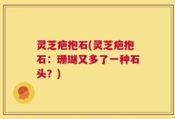 灵芝疤抱石(灵芝疤抱石：珊瑚又多了一种石头？)