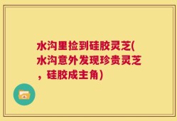水沟里捡到硅胶灵芝(水沟意外发现珍贵灵芝，硅胶成主角)