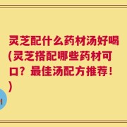灵芝配什么药材汤好喝(灵芝搭配哪些药材可口？最佳汤配方推荐！)
