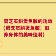 灵芝石斛煲鱼胶的功效(灵芝石斛煲鱼胶：滋养身体的美味佳肴)