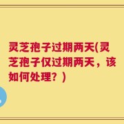 灵芝孢子过期两天(灵芝孢子仅过期两天，该如何处理？)