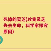 死掉的灵芝(珍贵灵芝失去生命，科学家探究原因)