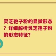 灵芝孢子粉的显微形态？详细解析灵芝孢子粉的形态特征？