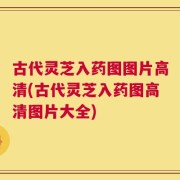 古代灵芝入药图图片高清(古代灵芝入药图高清图片大全)