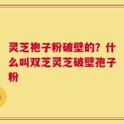 灵芝袍子粉破壁的？什么叫双芝灵芝破壁孢子粉